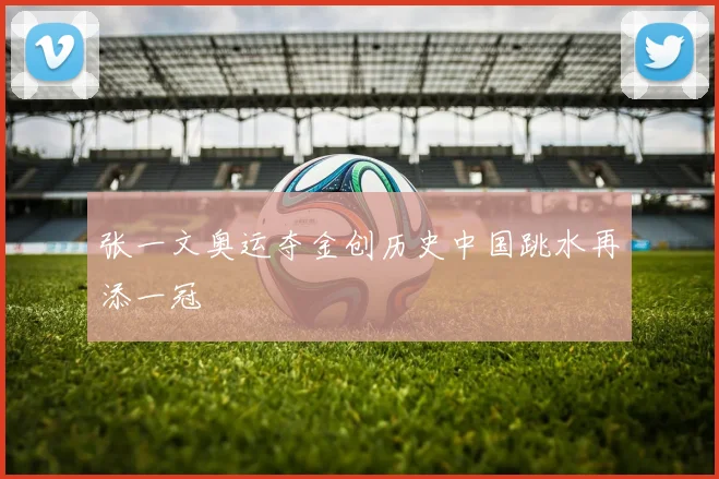 张一文奥运夺金创历史中国跳水再添一冠